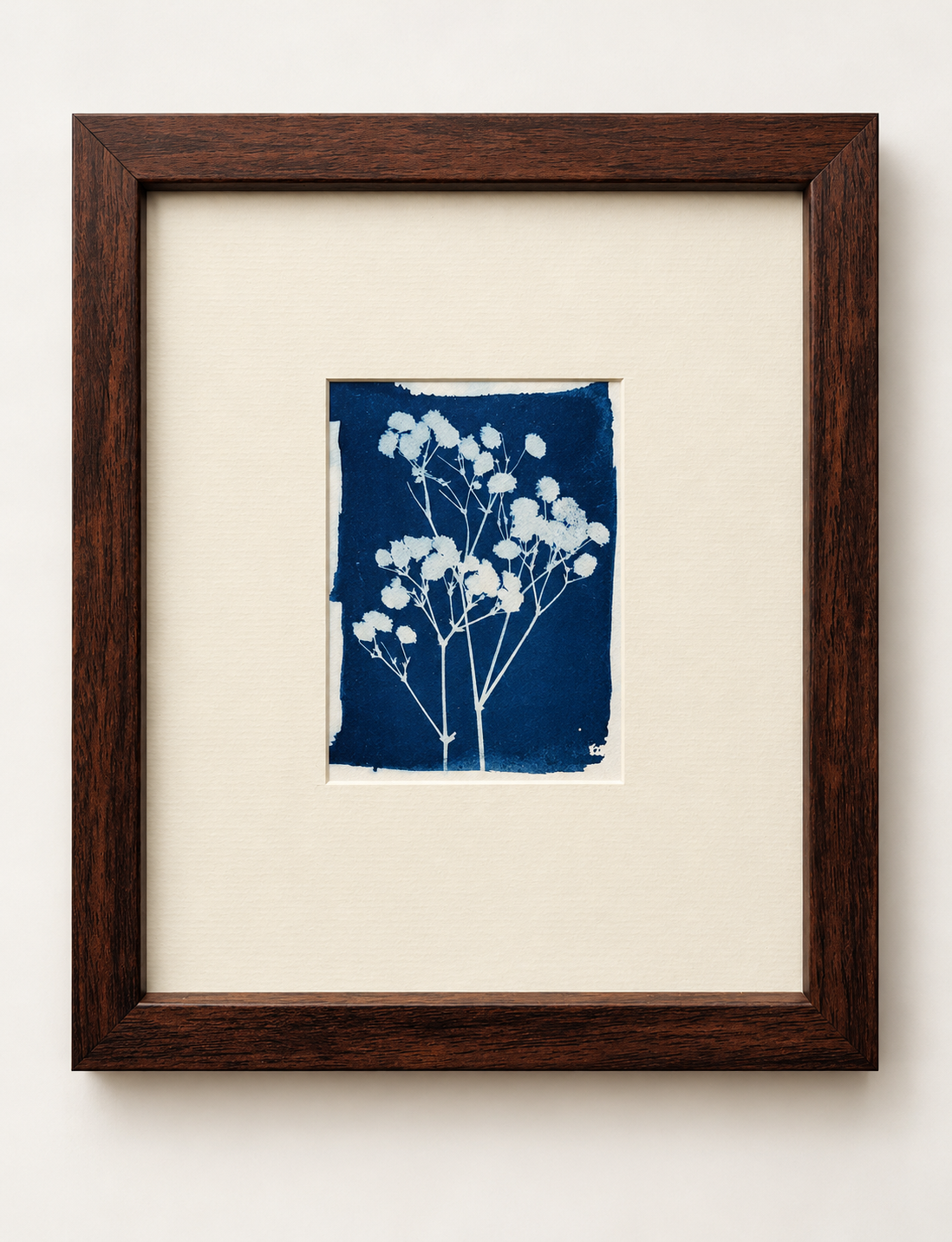 Baby’s Breath – Original Framed Cyanotype Art