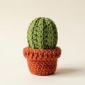 Clean cactus product photo